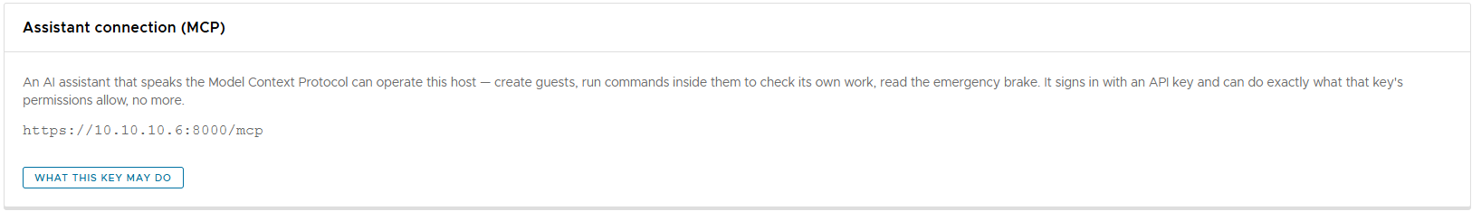 The “Assistant connection (MCP)” panel with the endpoint address and the button that shows what the key may do