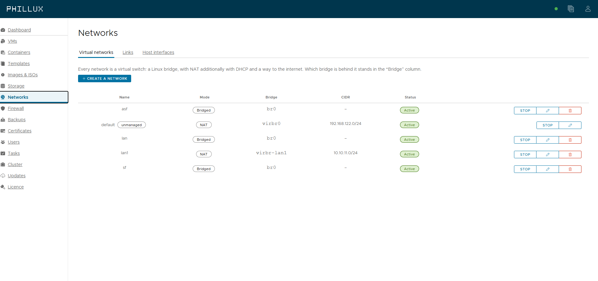 Virtual networks with bridged and NAT modes, bridge and CIDR